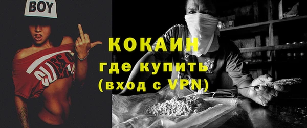 прущие грибы Аркадак