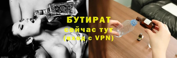 индика Володарск