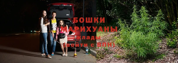 индика Володарск