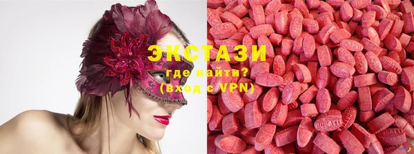 индика Володарск
