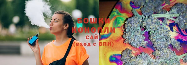 индика Володарск