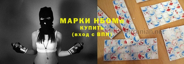 прущие грибы Аркадак