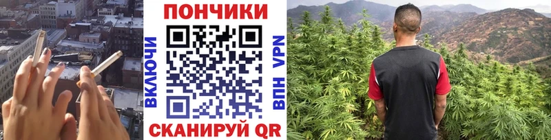 МАРИХУАНА конопля  Купить  Новый Оскол 